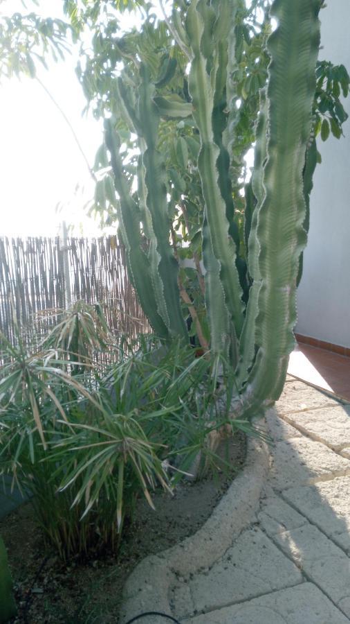 Apartamento Pardela Costa Adeje  Exteriér fotografie