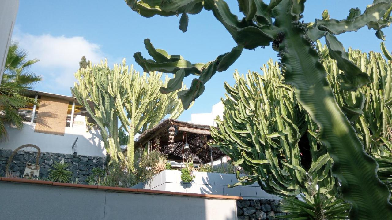 Apartamento Pardela Costa Adeje  Exteriér fotografie